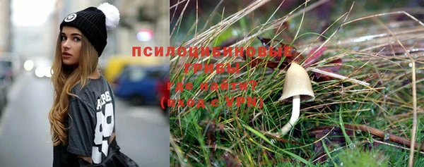 стафф Лихославль