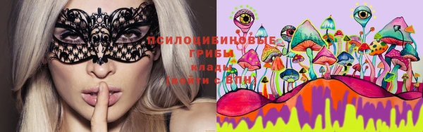 стафф Лихославль